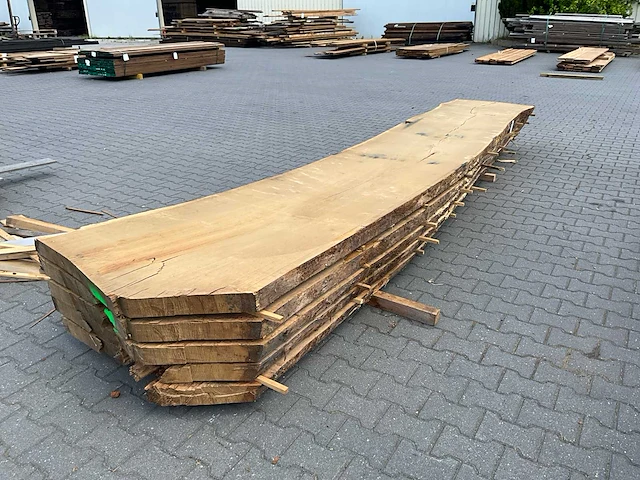 Eiken europees schaaldelen ovengedroogd (70mm) (5x) - afbeelding 1 van  7