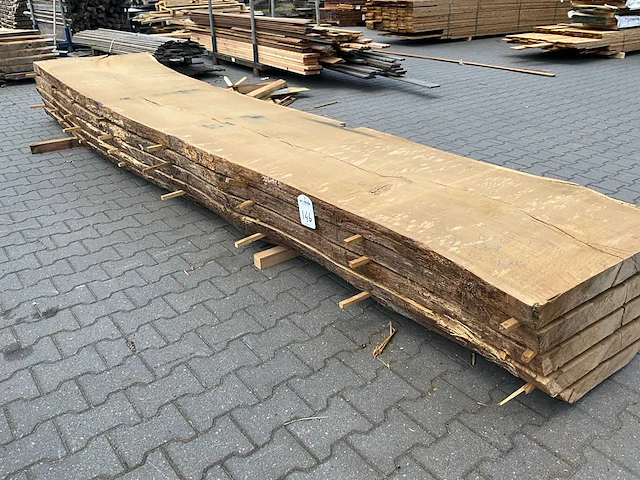 Eiken europees schaaldelen ovengedroogd (70mm) (5x) - afbeelding 5 van  7