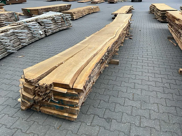 Eiken europees schaaldelen ovengedroogd (70mm) (5x) - afbeelding 1 van  7