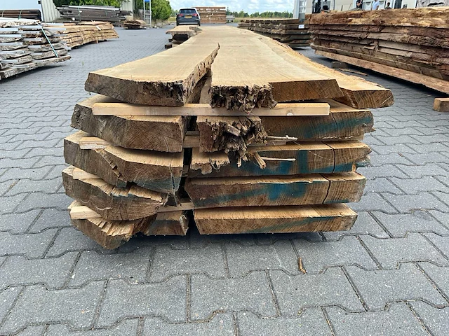 Eiken europees schaaldelen ovengedroogd (70mm) (5x) - afbeelding 4 van  7