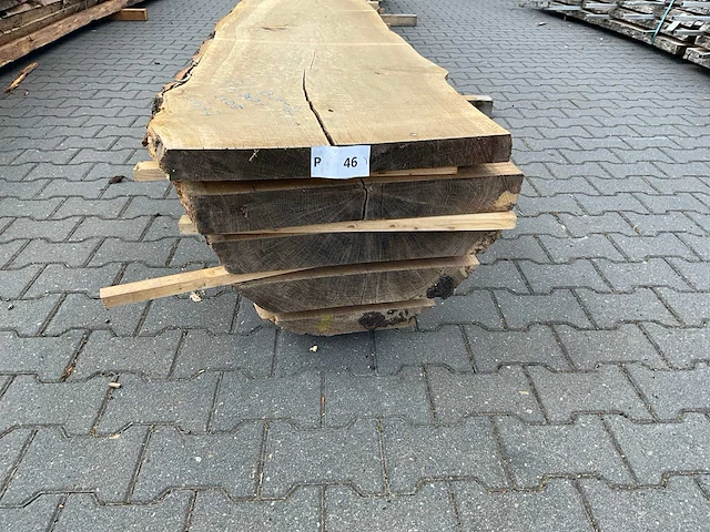 Eiken europees schaaldelen ovengedroogd (70mm) (5x) - afbeelding 6 van  7