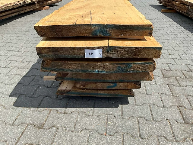 Eiken europees schaaldelen ovengedroogd (70mm) (7x) - afbeelding 3 van  6
