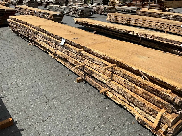 Eiken europees schaaldelen ovengedroogd (70mm) (7x) - afbeelding 5 van  6