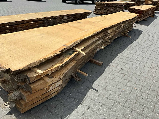 Eiken europees schaaldelen ovengedroogd (70mm) (7x) - afbeelding 6 van  6