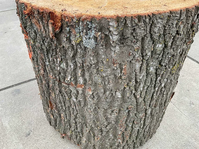 Eiken sokkel - afbeelding 6 van  7