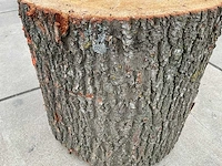 Eiken sokkel - afbeelding 6 van  7