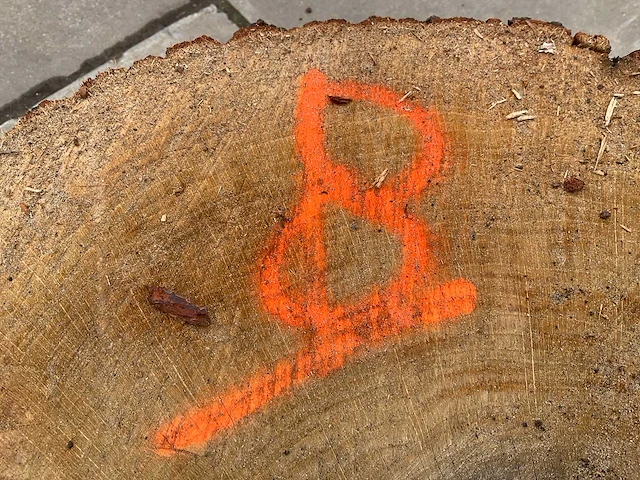 Eiken sokkel - afbeelding 7 van  7