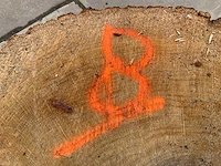 Eiken sokkel - afbeelding 7 van  7