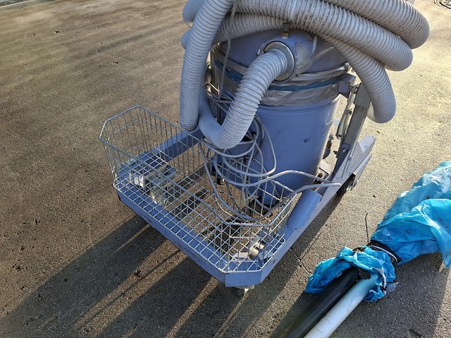 Eikenprocessierupszuiger, hoaf, eprz 33, 2009 - afbeelding 3 van  12