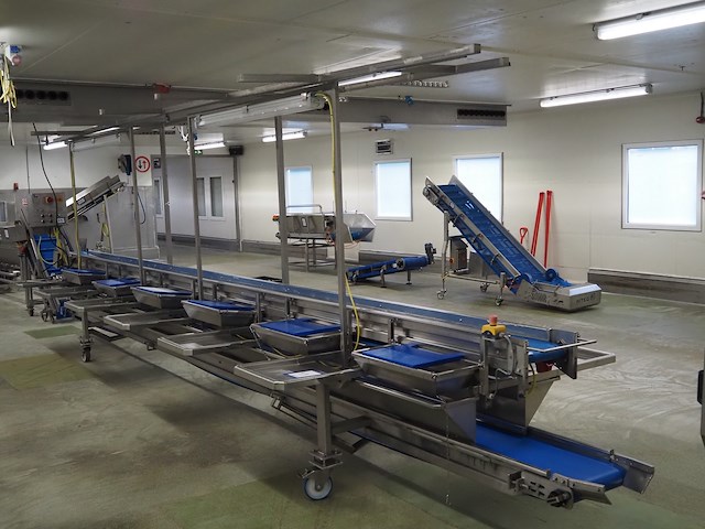 Eillert - afbeelding 6 van  13