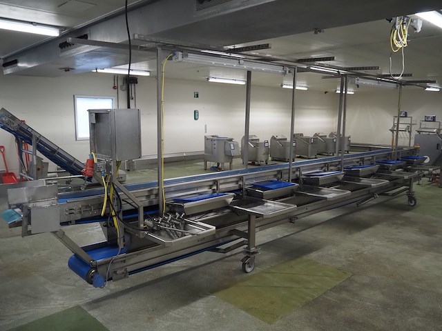 Eillert - afbeelding 8 van  13