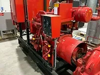 Eledyne efp12 nfpa “cummins” aangedreven brandbluspomp - afbeelding 6 van  28