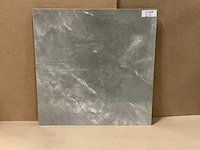Elegant grijs gepolijst 60x60 cm tegel 54 m² - afbeelding 3 van  3