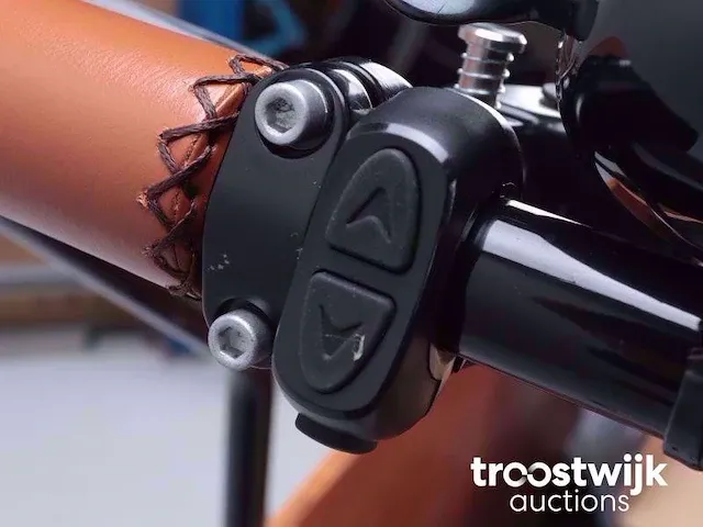 Elektrische bakfiets - afbeelding 3 van  15