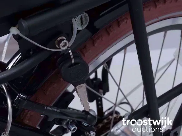 Elektrische bakfiets - afbeelding 5 van  15
