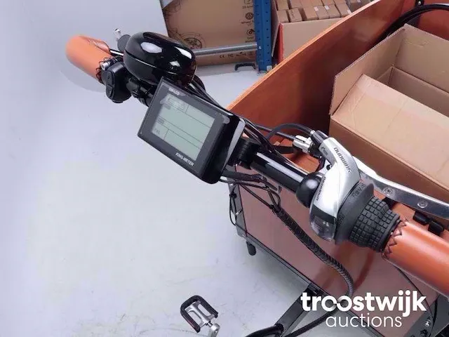 Elektrische bakfiets - afbeelding 14 van  15
