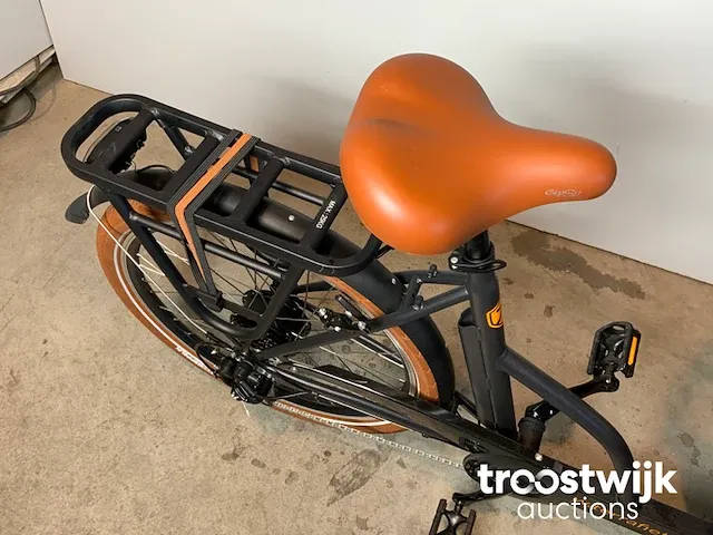 Elektrische bakfiets - afbeelding 9 van  14