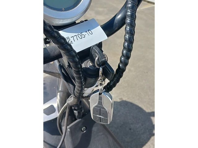 Elektrische chopper, i-coco, lt-018, 2020 - afbeelding 4 van  21