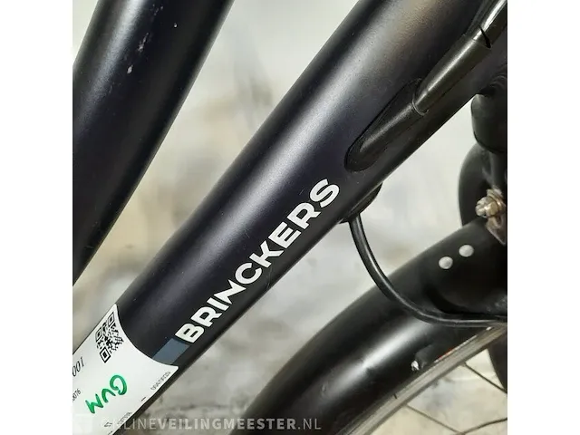 Elektrische dames transportfiets brinckers, baker f3 - afbeelding 20 van  20
