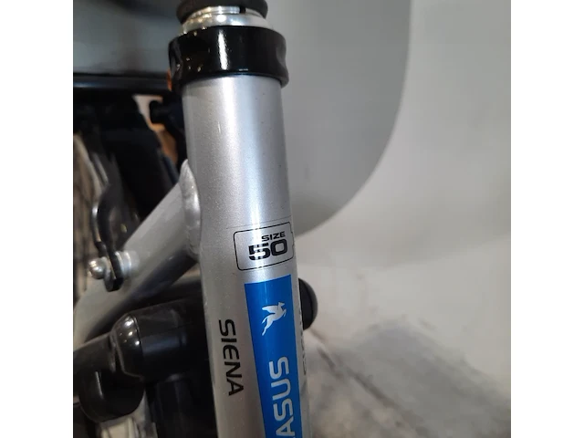 Elektrische damesfietes pegasus, sienna, bouwjaar 2014 - afbeelding 8 van  18