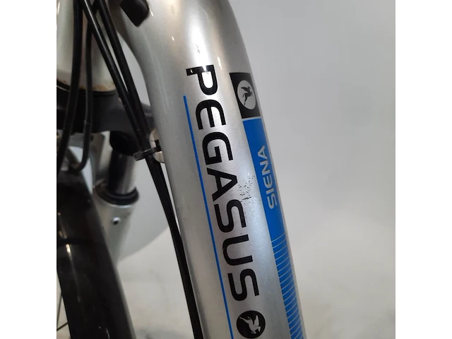 Elektrische damesfietes pegasus, sienna, bouwjaar 2014 - afbeelding 12 van  18