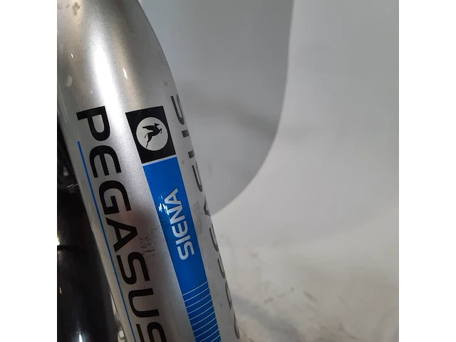 Elektrische damesfietes pegasus, sienna, bouwjaar 2014 - afbeelding 13 van  18
