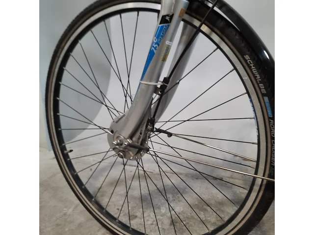 Elektrische damesfietes pegasus, sienna, bouwjaar 2014 - afbeelding 15 van  18
