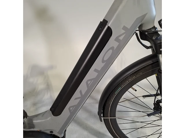 Elektrische damesfiets avalon, e-motive - afbeelding 2 van  21