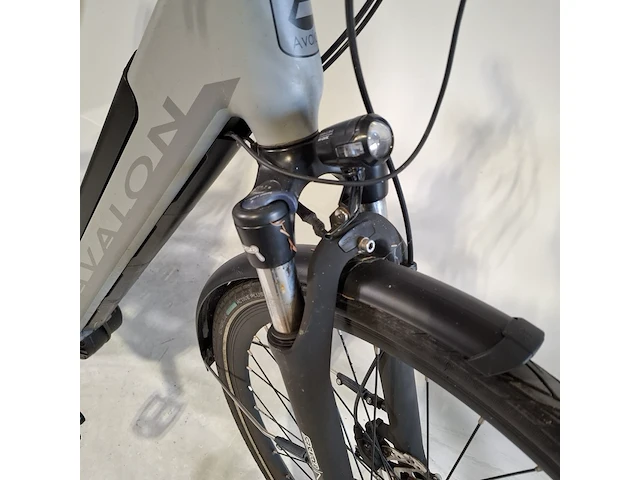 Elektrische damesfiets avalon, e-motive - afbeelding 4 van  21