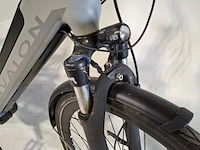 Elektrische damesfiets avalon, e-motive - afbeelding 4 van  21