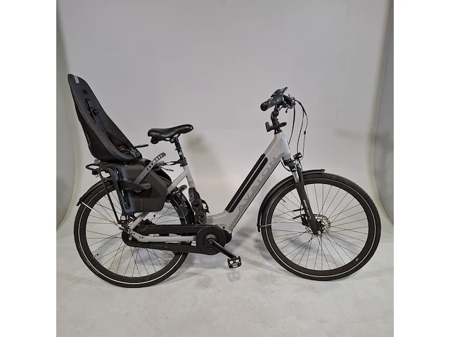 Elektrische damesfiets avalon, e-motive - afbeelding 1 van  21