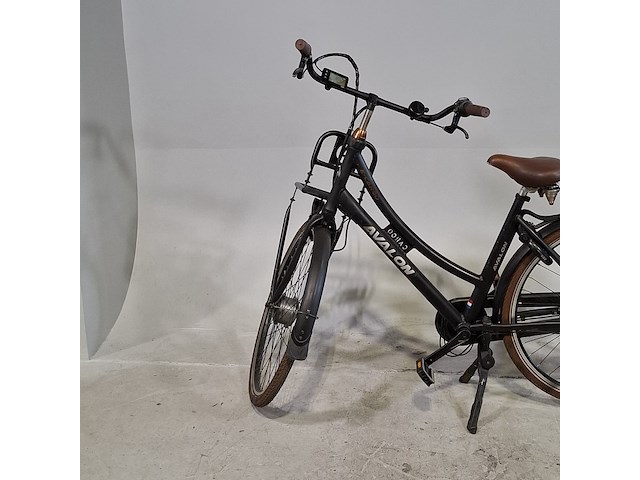 Elektrische damesfiets, avalon - afbeelding 4 van  13