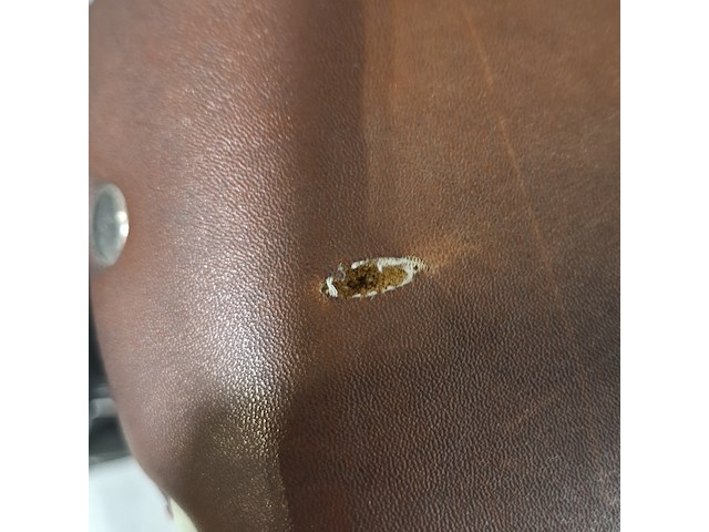 Elektrische damesfiets, avalon - afbeelding 9 van  13