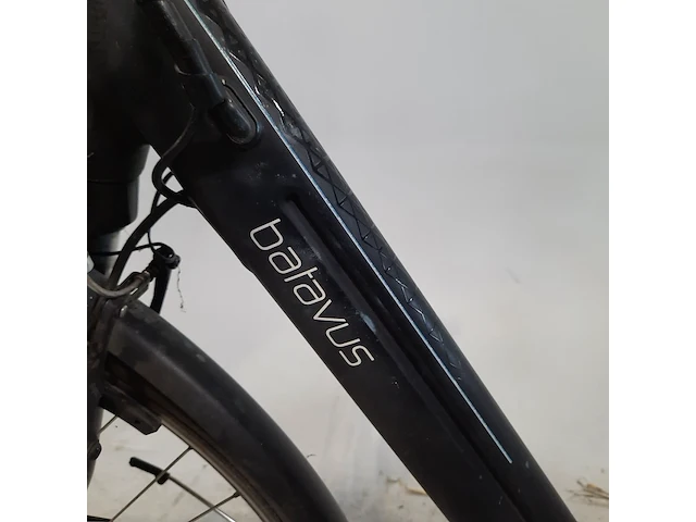 Elektrische damesfiets batavus, wayz ego comfort - afbeelding 8 van  14