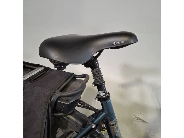 Elektrische damesfiets, bsp, premium leisure series - afbeelding 3 van  16