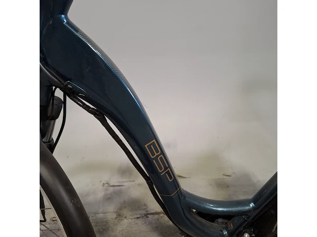 Elektrische damesfiets, bsp, premium leisure series - afbeelding 10 van  16