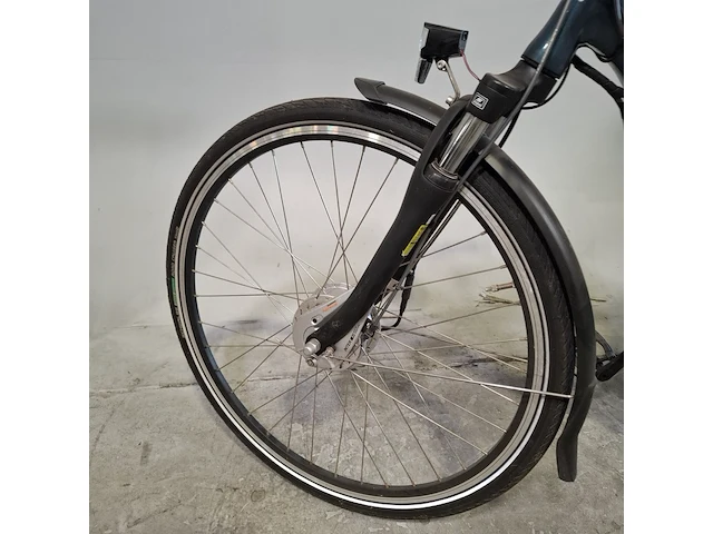 Elektrische damesfiets, bsp, premium leisure series - afbeelding 11 van  16