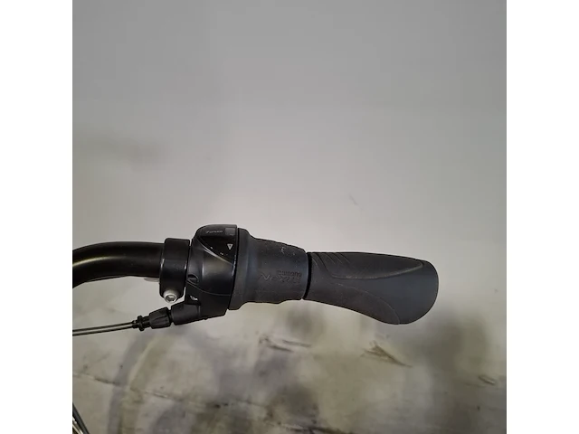 Elektrische damesfiets, bsp, premium leisure series - afbeelding 14 van  16