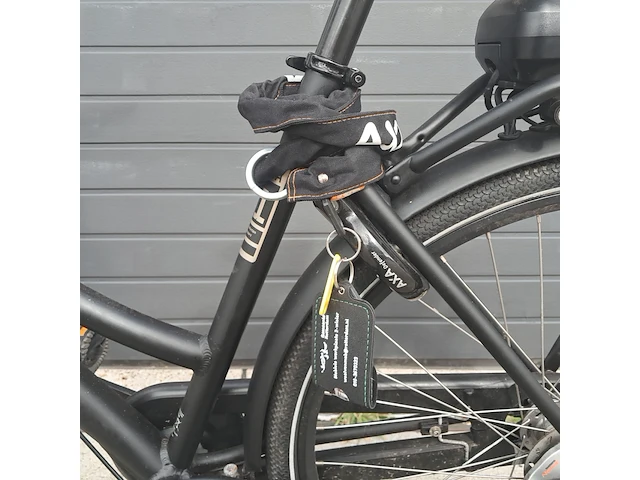 Elektrische damesfiets, cortina, e-u1 - afbeelding 5 van  24