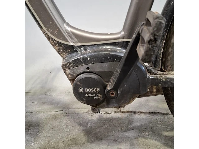 Elektrische damesfiets, ebike, da8 original - afbeelding 6 van  14