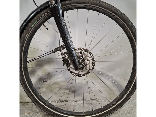 Elektrische damesfiets, ebike, da8 original - afbeelding 12 van  14