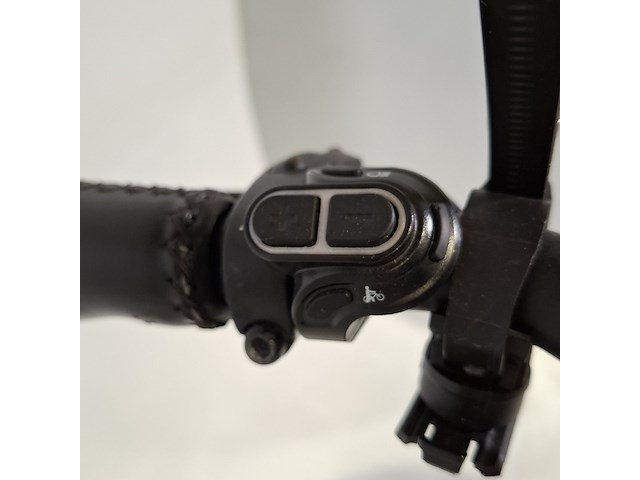 Elektrische damesfiets, forza, bologna - afbeelding 2 van  16