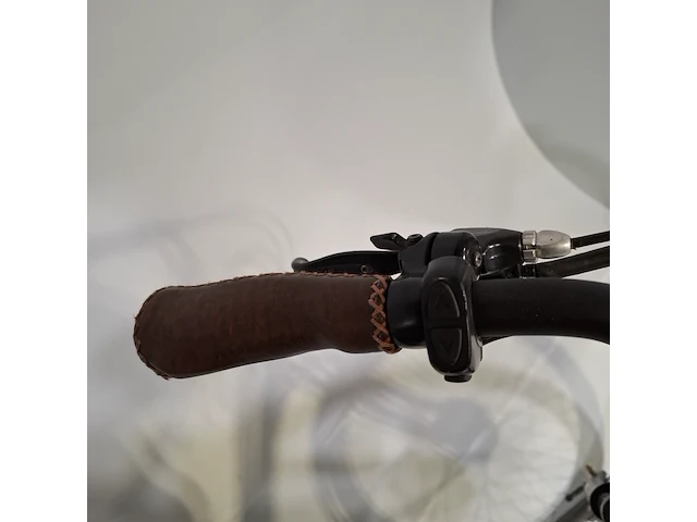 Elektrische damesfiets forza, toscane - afbeelding 4 van  18