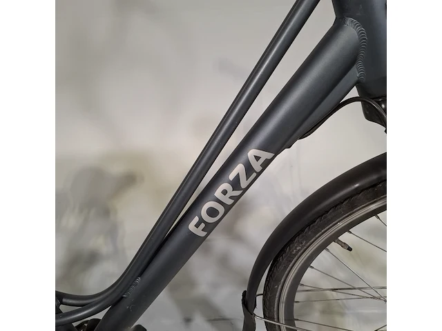 Elektrische damesfiets forza, toscane - afbeelding 17 van  18