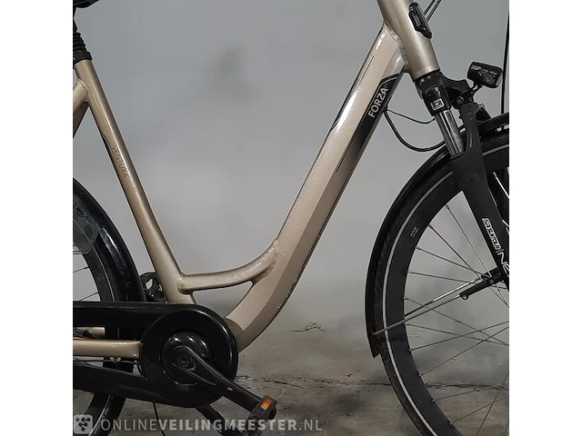 Elektrische damesfiets forza, ventura - afbeelding 18 van  18