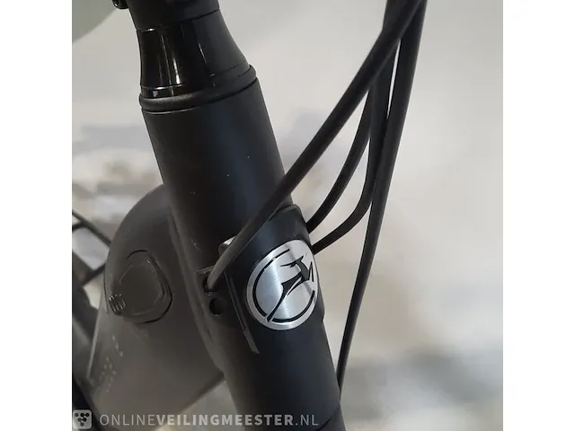 Elektrische damesfiets gazelle, grenoble c8 - afbeelding 21 van  26