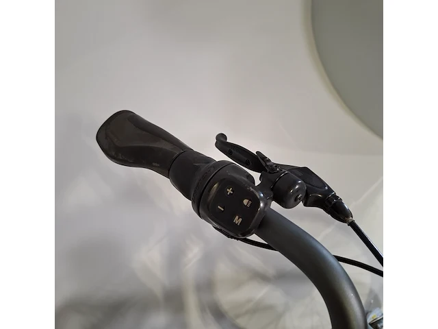 Elektrische damesfiets giant, ease-e - afbeelding 5 van  21