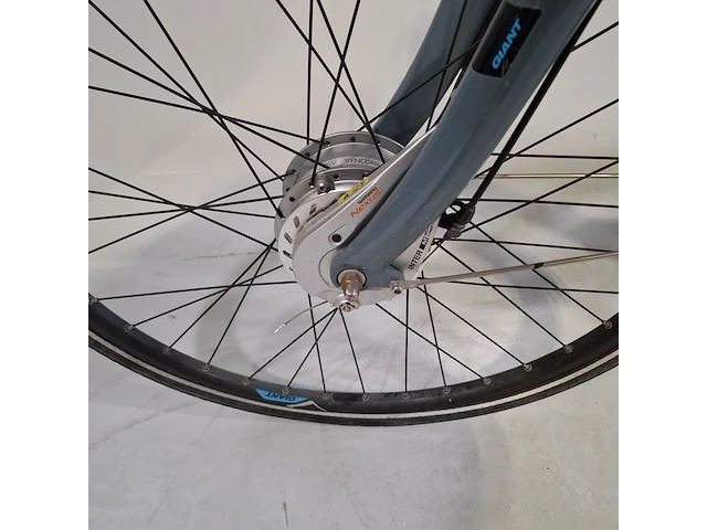 Elektrische damesfiets giant, ease-e - afbeelding 9 van  21