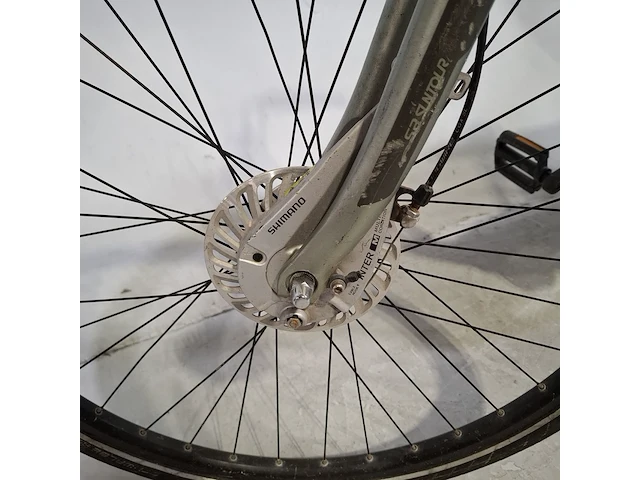 Elektrische damesfiets, giant, elegance e+ - afbeelding 9 van  19