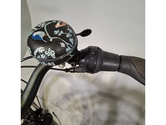 Elektrische damesfiets, gudereit, on street - afbeelding 12 van  14